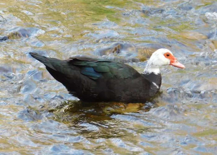 Casa Del Horno Apartament Potes